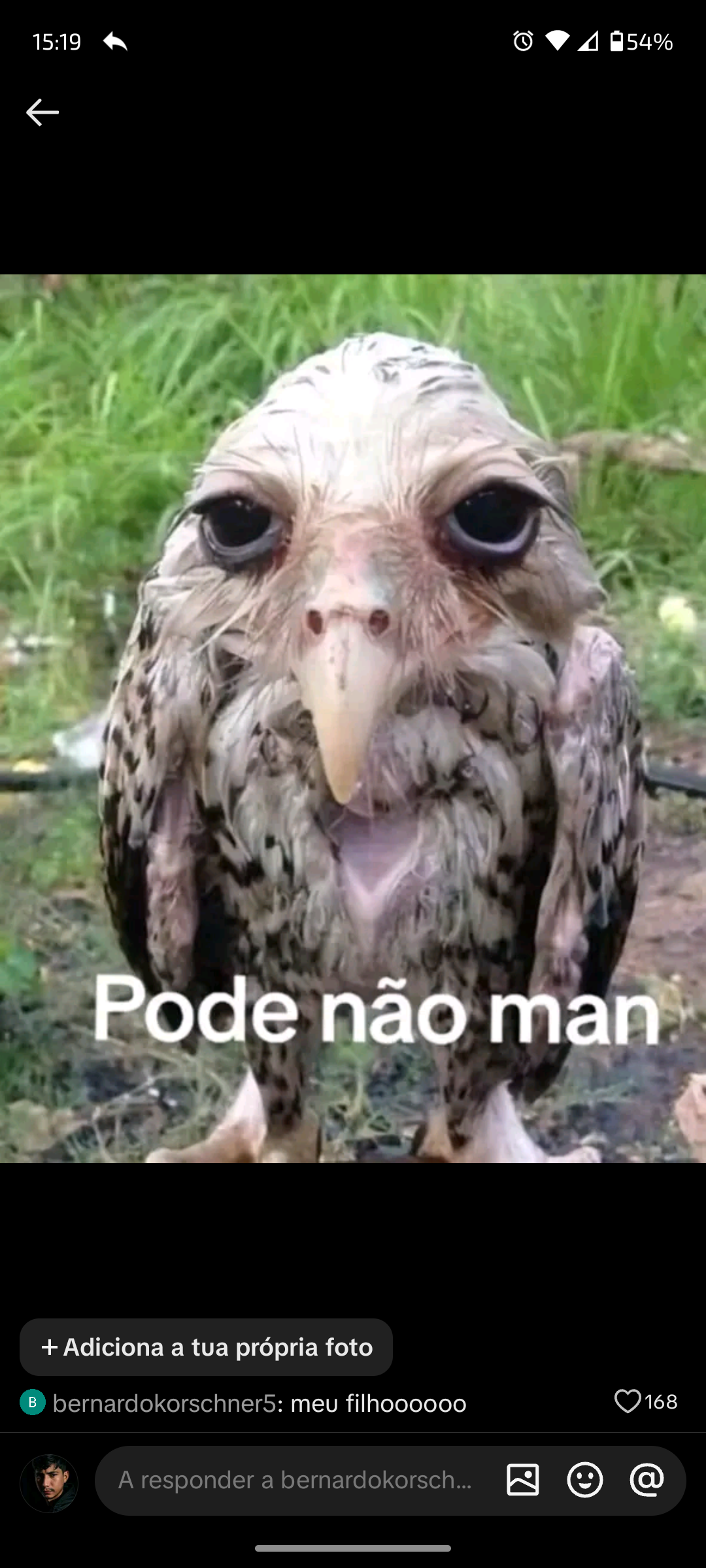 Traces Of You Luyd Pinho