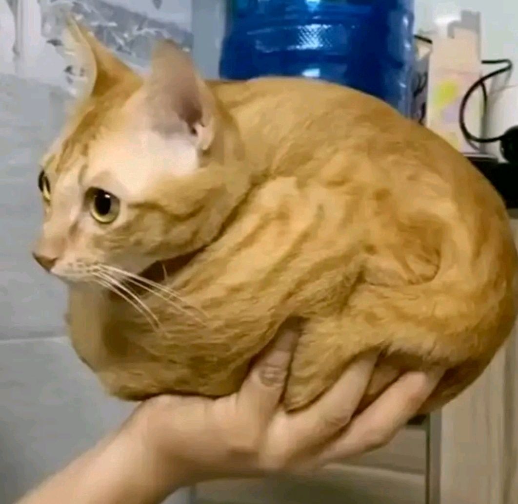 5sta Family - Вместе Мы (Extended)