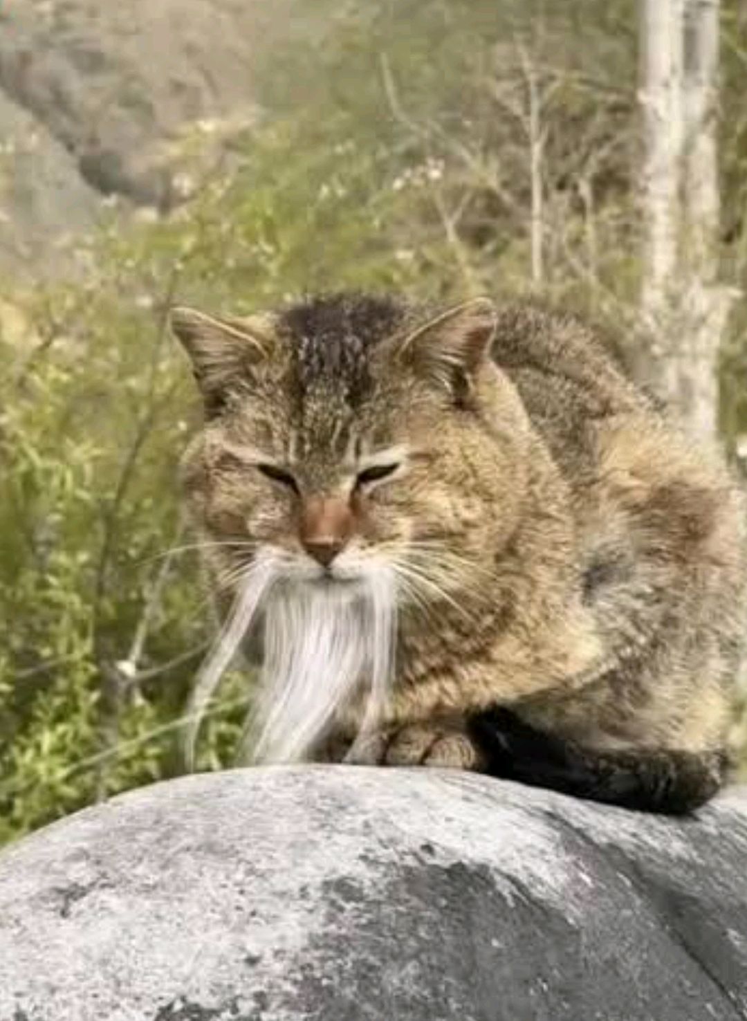 @luydpinhoofc - Deziubeste Ma